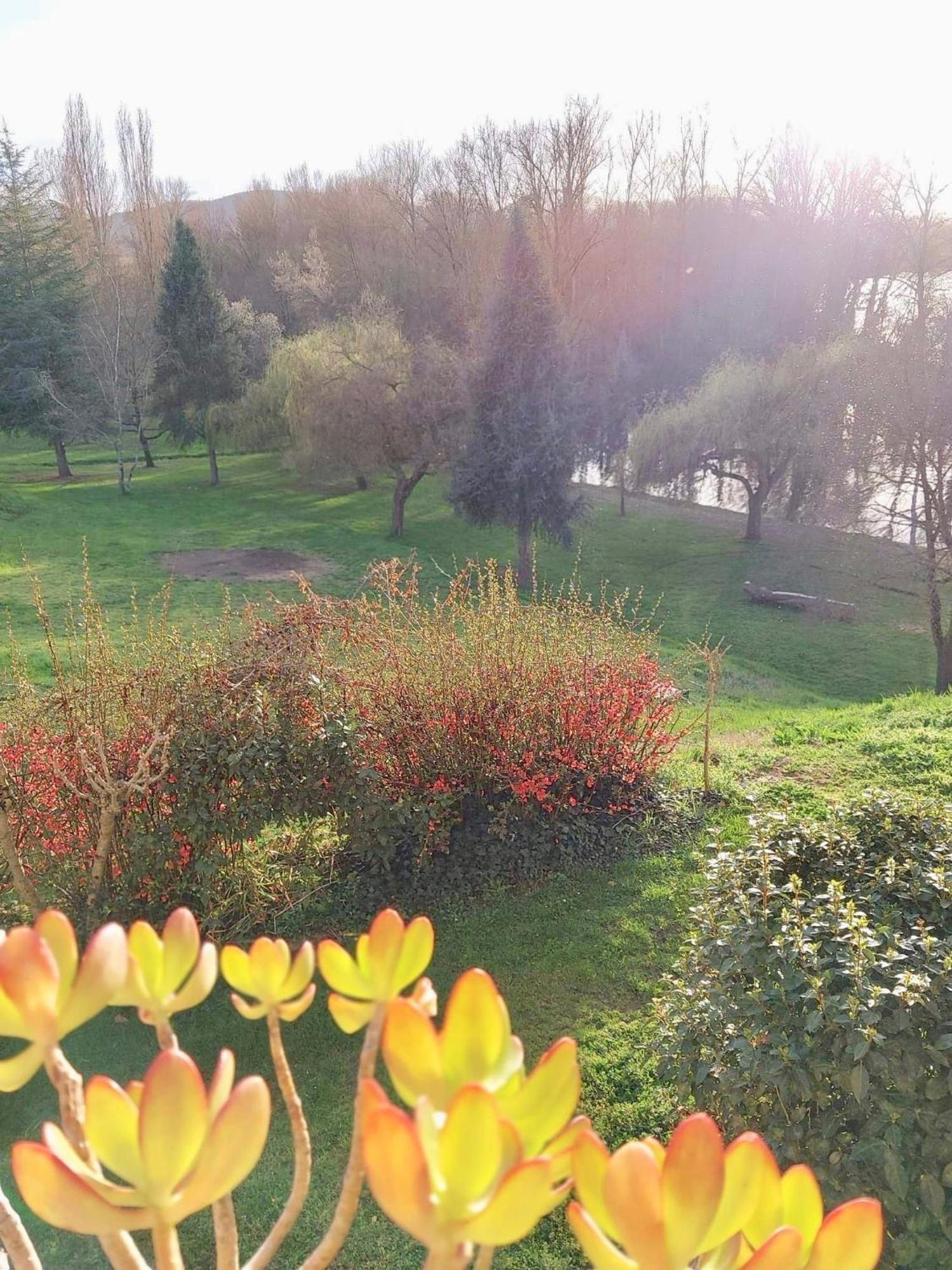 Beautiful Village House Next To Garonne River! Couladere Екстер'єр фото